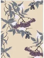 Ailanto Carta da parati Sambuco - Violet & Sea Green