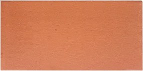 Pavimento In Cotto 15x30 Idrorepellente Arrotato Presild Domus Linea R12