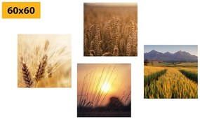 Set di quadri – Incanto della natura