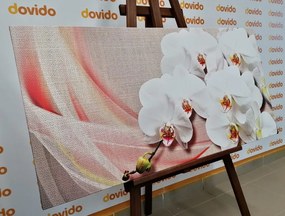 Quadro su tela – Orchidea bianca su tela