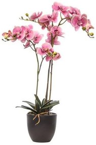 Pianta artificiale senza vaso Phalaenopsis H 110