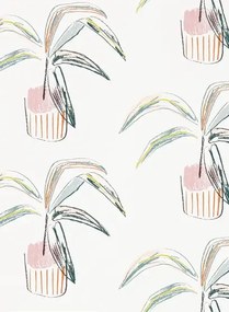 Topfpflanzen Tapete Crassula von Scion - Blush/ Mint