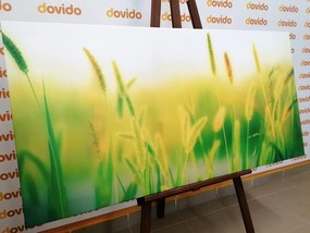 Stampa su tela – Steli d'erba in verde