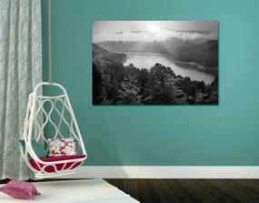 Quadro su tela – Fiume nel mezzo della foresta in bianco e nero