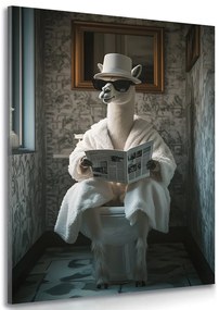 Stampa su tela – Alpaca con giornali in bagno