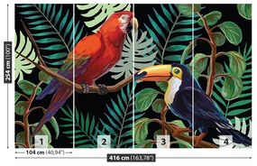 Carta da parati Ara toucan 104x70 cm