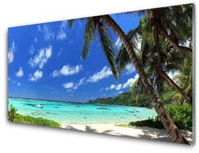 Quadro vetro acrilico Paesaggio del mare della palma 100x50 cm