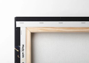 Quadro su tela – Meteoriti