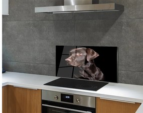 Rivestimento parete cucina Cane marrone 100x50 cm
