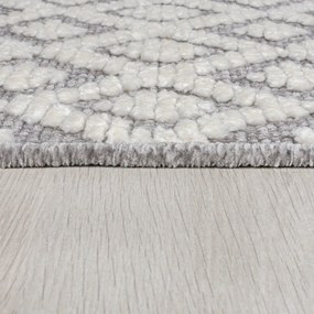 Tappeto in ciniglia lavabile grigio 80x160 cm Jhansi - Flair Rugs