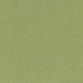 Florida cuscino disponibile in diversi colori realizzato in ecopelle resistente impermeabile T04 verde