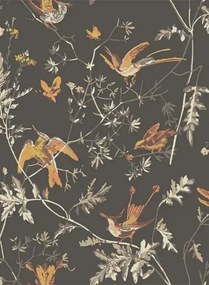 Cole & Son Carta da parati Hummingbirds Icons - Charcoal/ Ginger