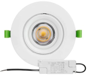 Faro LED da Incasso 44W Orientabile Rotondo, Foro Ø160mm, Bianco, PHILIPS Certadrive - ROSA ALIMENTARE Colore Rosa Alimentare