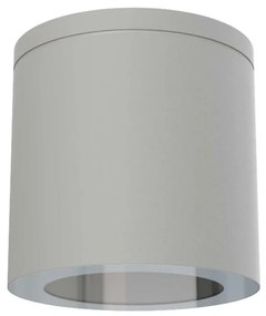 Applique da soffitto IP54 GU10 in Alluminio e Vetro - Grigia Colore del corpo Grigio