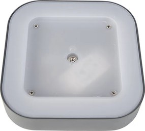Lampada da parete e soffitto grigia quadrata IP54 - Ariel