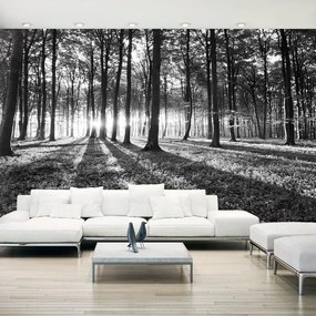 Fotomurale adesivo  Grey Wilderness II  Larghezza x Altezza Home decor 490x280