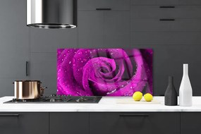 Pannello rivestimento parete cucina Natura della pianta del fiore della rosa 100x50 cm