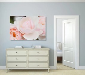 Quadro su tela – Pieno di rose
