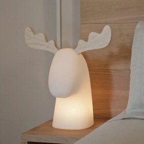 Lampada da esterno Rudy H 40 cm,in polietilene, luce bianco caldo E27 650LM NEWGARDEN