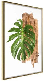 Poster  Leafy Etude  Cornice Quadri Cornice d'oro, Larghezza x Altezza Home decor 20x30