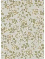 Sanderson Carta da parati Silver Lime - Lichen