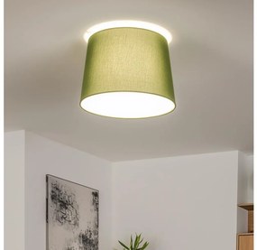 Brilagi - Plafoniera LED a montaggio superficiale CERIA 1xE27/40W/230V Ø 30 cm verde