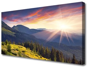 Quadro su tela Paesaggio del sole della montagna della foresta 100x50 cm