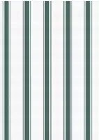 Coordonne Carta da parati Stripe 5 - Parra