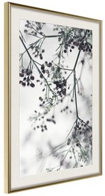 Poster  Sprinkled with Flowers  Cornice Quadri Cornice d'oro con passe-partout, Larghezza x Altezza Home decor 20x30