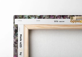Quadro su tela – Erbe medicinali