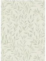 Sanderson Carta da parati Osier - Willow/ Cream