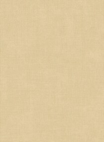 Arte International Carta da parati Tulle - Sand