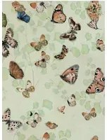 Coordonne Carta da parati Magic butterflies - Maca