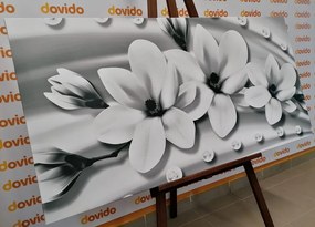 Stampa su tela – Magnolia di lusso con perle in bianco e nero