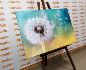 Stampa su tela – Soffione magico