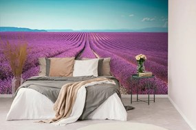 Carta da parati – Campo di lavanda infinito