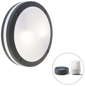 Lampada da parete e soffitto intelligente grigio scuro con Wi-Fi A60 - Glow