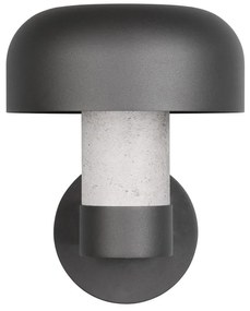 Illuminazione esterna da parete (altezza totale 24,5 cm) Fraser – Trio