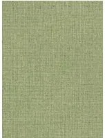Arte International Carta da parati Nongo - Olive