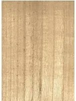 CMO Paris Carta da parati Bois - Blond