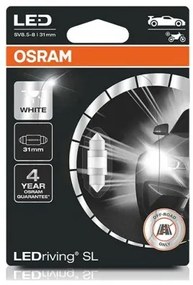 Lampadina per Auto Osram OS6438DWP-01B 1 W C5W 6000K