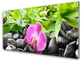 Quadro vetro Fiori Pianta di orchidea 100x50 cm