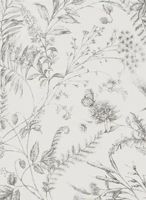 Ralph Lauren Carta da parati Fern Toile - Pencil