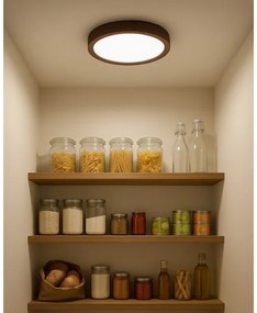 Plafoniera LED 18W/230V 3000/4000/6500K Ø 23 cm marrone