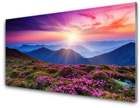 Quadro in vetro acrilico Paesaggio del sole del prato di montagna 100x50 cm