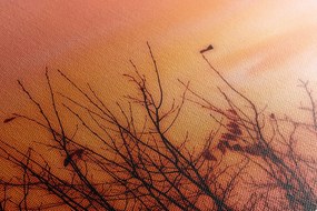 Quadro su tela – Cielo colorato