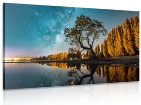 Quadro su tela – Albero sotto il cielo stellato
