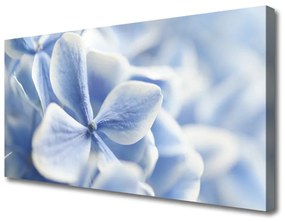 Quadro su tela Fiori, petali, natura 100x50 cm