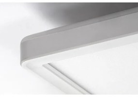 Rabalux 3430 - Plafoniera LED dimmerabile PAVEL LED/22W/230V