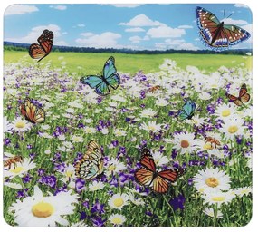 Coprivetro temperato per fornelli 50x56 cm - Maximex